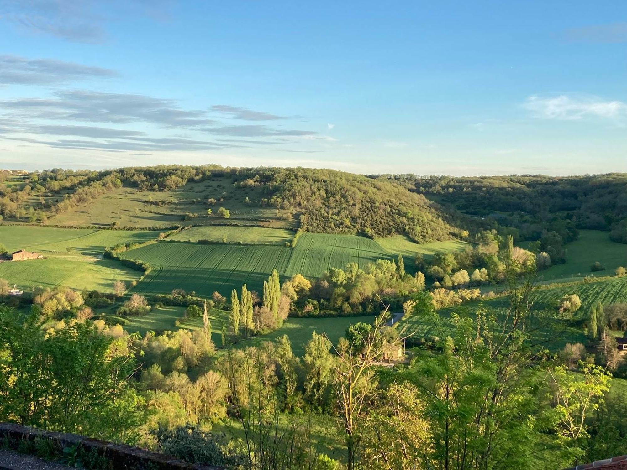 Le Secret Du Chat Cordes-sur-Ciel Extérieur photo